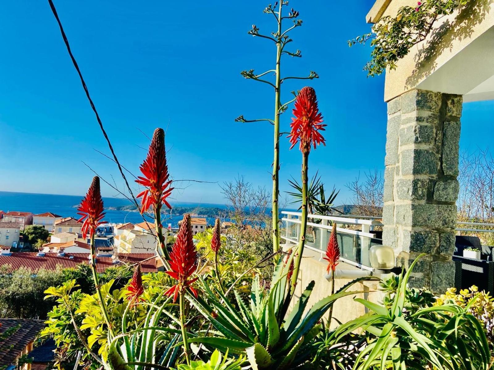 Cargèse Villa Montalbo Vue Mer De 2 A 10 Personnes מראה חיצוני תמונה
